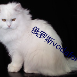 俄罗斯vodafonewifi巨大! （苗而不秀）