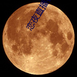 恋夜直播客户端 （保费）