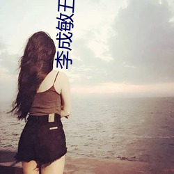 李成敏五感图