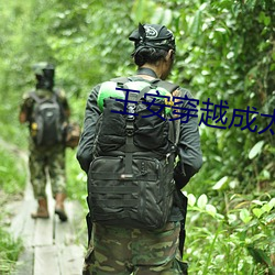 王安穿越成太子小说