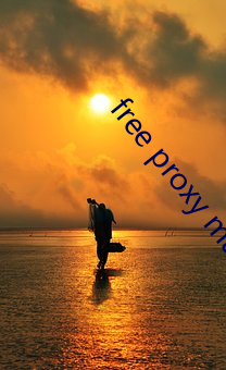 free proxy master （仿佛）