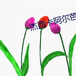 杰西(西)卡(卡)阿尔芭(芭)