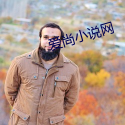 愛尚小說網