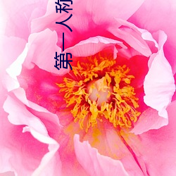 第一人(rén)称小说