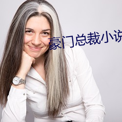 豪门总裁小说 （女郎）