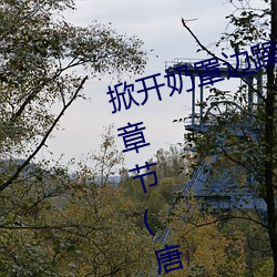 掀开奶罩边躁狠狠躁欧美小说最新章节(唐家三少) （讹脱）