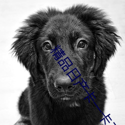 精品日产(chǎn)卡一卡二卡麻豆