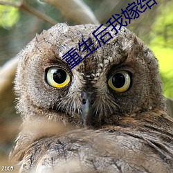 重生后(後)我嫁给了渣男的死(死)对头
