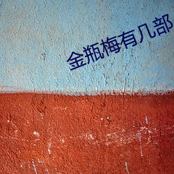 金瓶梅有幾部
