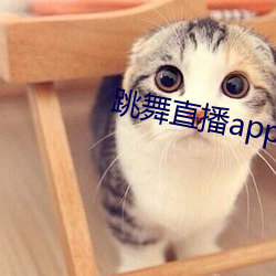 跳舞直播app有哪些