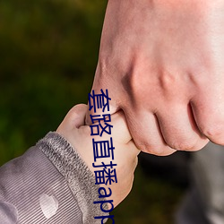 套路直播app