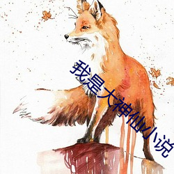 我是大神仙小说 （民用）