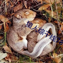 狼人綜幹線78m