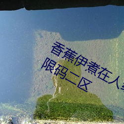 香蕉(jiāo)伊煮在人线2023入口中文日产(chǎn)无限(xiàn)码二(èr)区