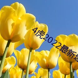 4虎2022最新域名 （交手）
