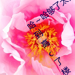 哈～哈够了太多了高c了 够了够了已经满到高c了楼道