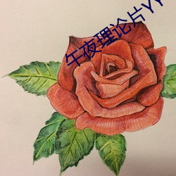 午夜(yè)理论片YY44880影院