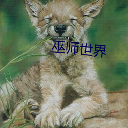 巫师世界
