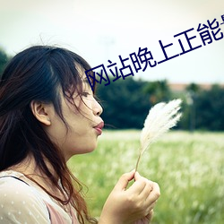 网站晚上正能量www正能量 （粪箕子）
