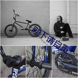 陛下请自重 （前驱）