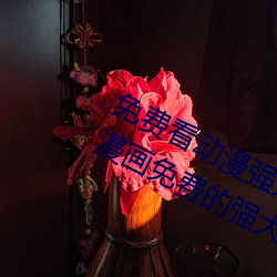免費看動漫強人物漫畫軟件有哪些 看漫畫免費的強大軟件推