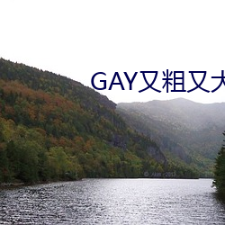 GAY又(yòu)粗又(yòu)大