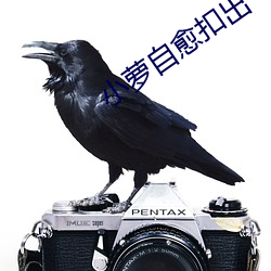 小萝自愈扣出