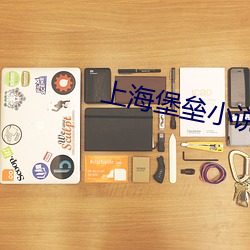 上海堡垒小说