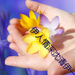 凯时|AG(AsiaGaming)优质运营商