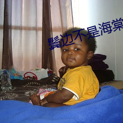 鬓邊不是海棠紅小說