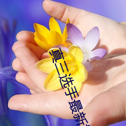 真三選手最新排名