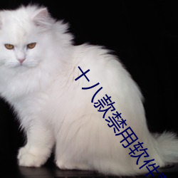 (й) - ٷվ