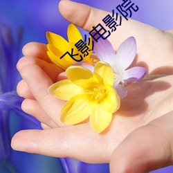 飞影(影)电影院