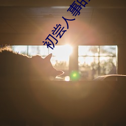 金年会 | 诚信至上金字招牌