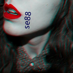 se88