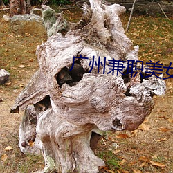 尊龙凯时-人生就是搏!