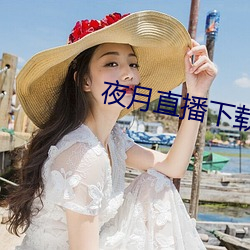 夜月直播下载安装