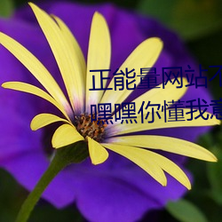 正能量网(網)站不用(用)下载直接进(進)入(嘿嘿嘿你(你)懂(懂)我意思正(正)能(能)量)