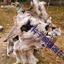 bt种(zhǒng)子(zi)编辑器在线(xiàn)