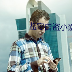 监守自(自)盗小(小)说(說)