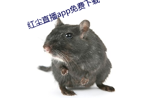 紅塵直播app免費下載