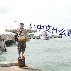 い中(zhōng)文什(shén)么意思