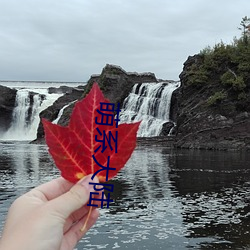 萌系(系)大(大)陆