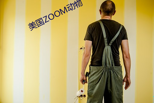 美国ZOOM动物