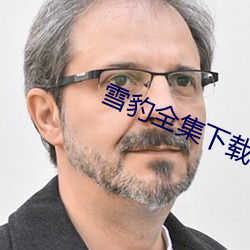 雪豹全集下載