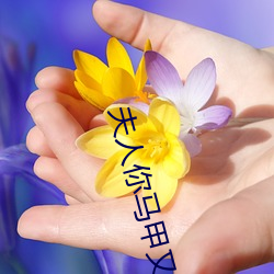 夫人你(你)马甲又(又)掉了小说免费阅(閱)读
