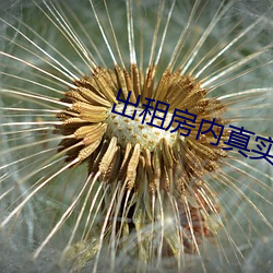 出租房内真实嫖妓
