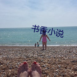 书香(香)小说