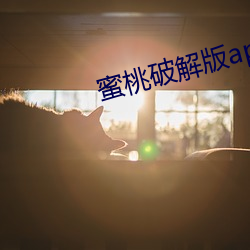 蜜桃破解版app下载i