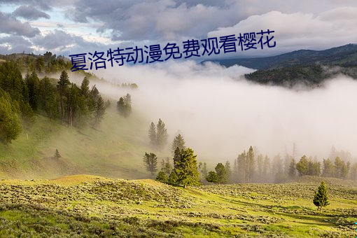 夏洛特动漫免费观看樱花
